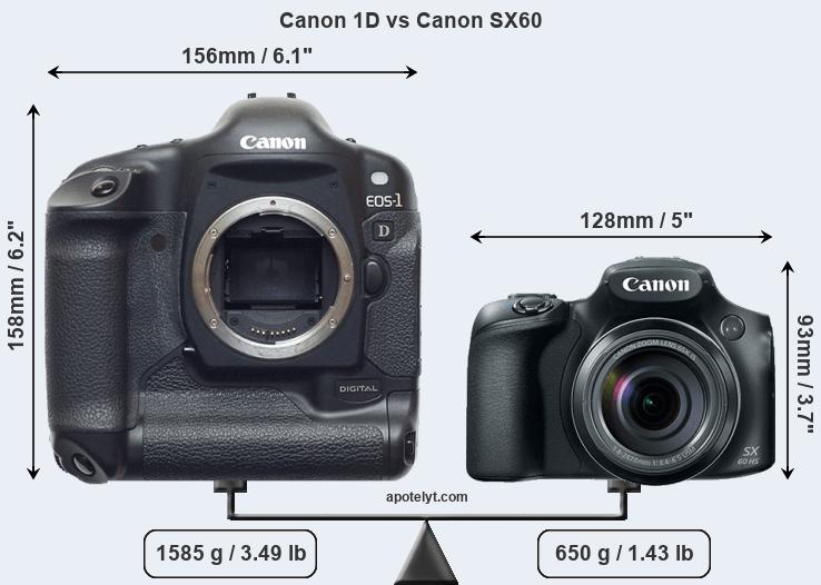 Size Canon 1D vs Canon SX60