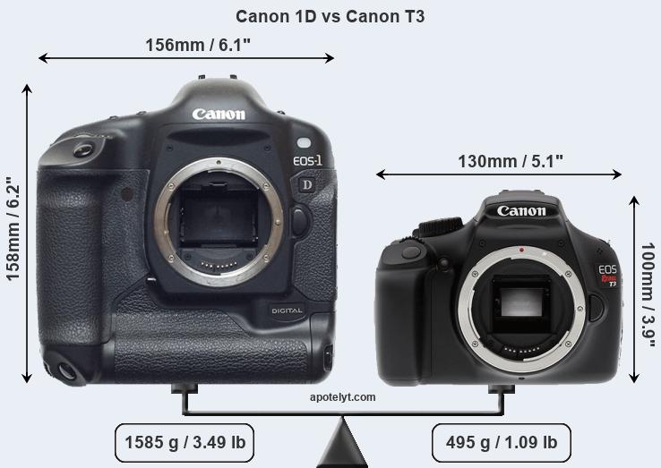 Size Canon 1D vs Canon T3