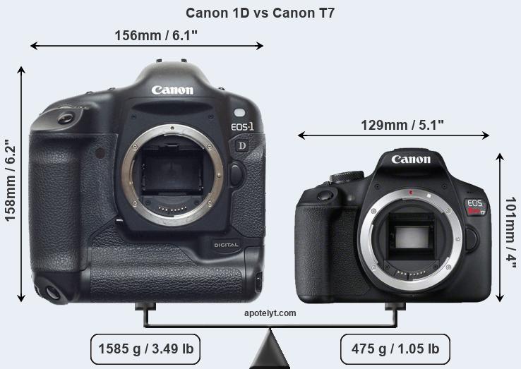 Size Canon 1D vs Canon T7