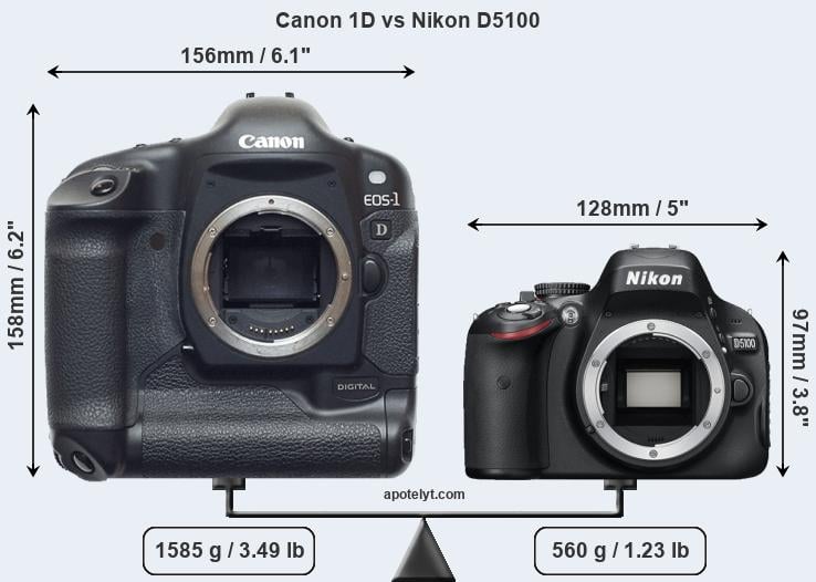 Size Canon 1D vs Nikon D5100