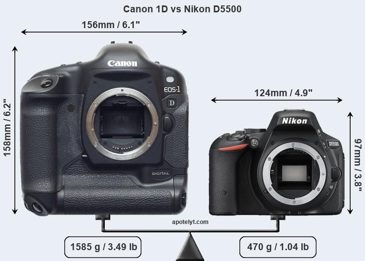 Size Canon 1D vs Nikon D5500