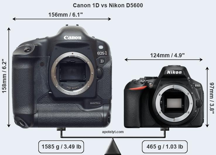 Size Canon 1D vs Nikon D5600