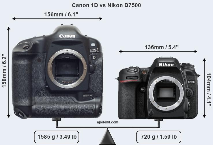 Size Canon 1D vs Nikon D7500