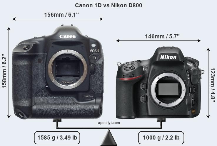 Size Canon 1D vs Nikon D800