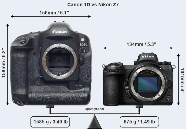 Size Canon 1D vs Nikon Z7