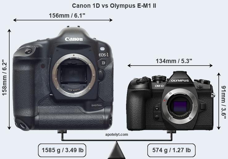 Size Canon 1D vs Olympus E-M1 II