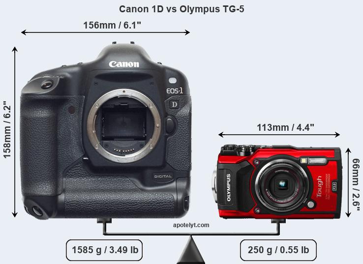 Size Canon 1D vs Olympus TG-5