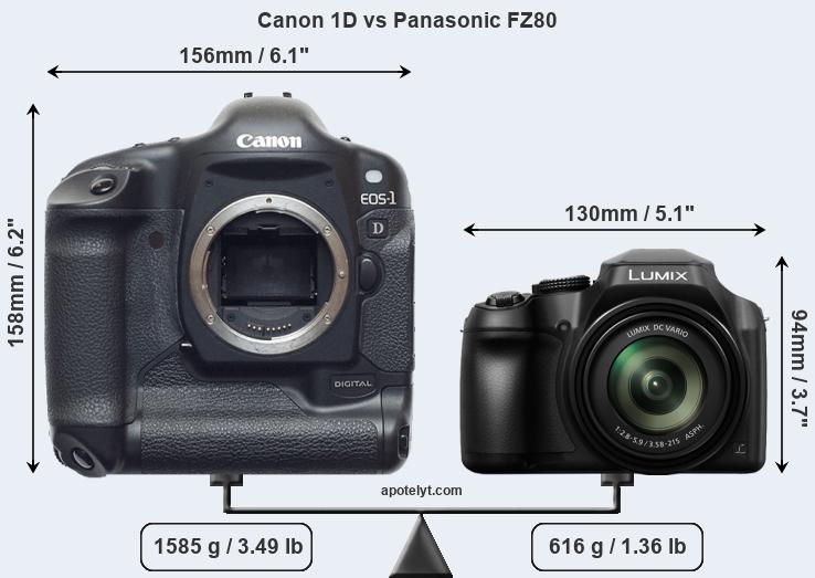 Size Canon 1D vs Panasonic FZ80