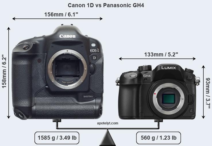 Size Canon 1D vs Panasonic GH4