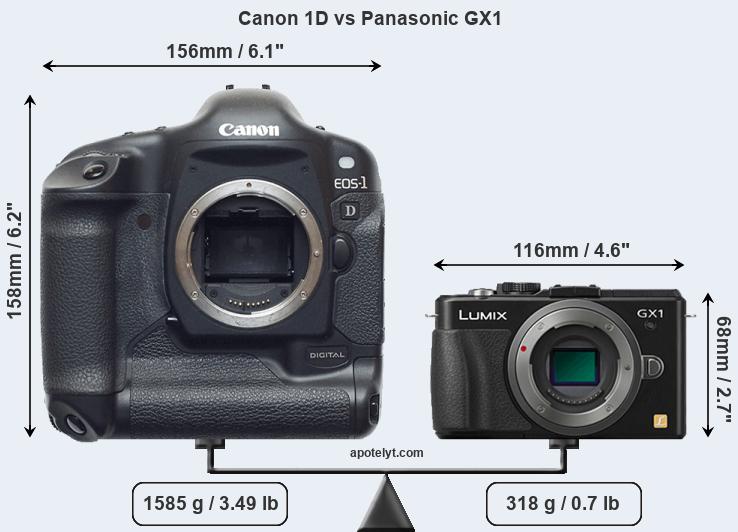 Size Canon 1D vs Panasonic GX1