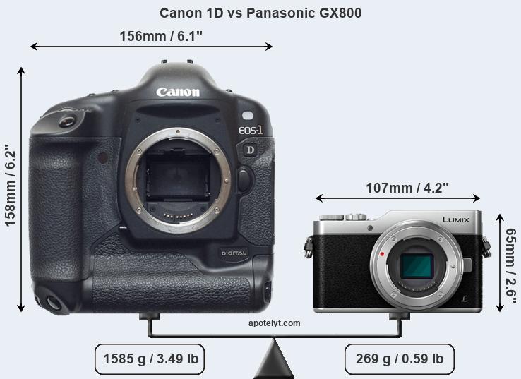 Size Canon 1D vs Panasonic GX800
