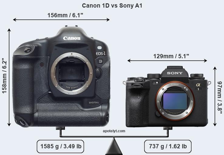 Size Canon 1D vs Sony A1