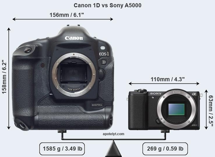 Size Canon 1D vs Sony A5000