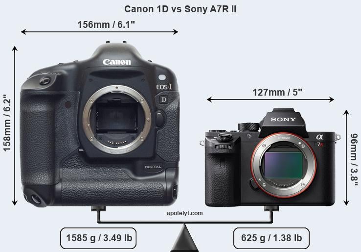 Size Canon 1D vs Sony A7R II