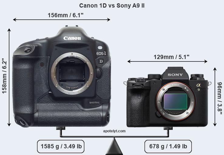 Size Canon 1D vs Sony A9 II