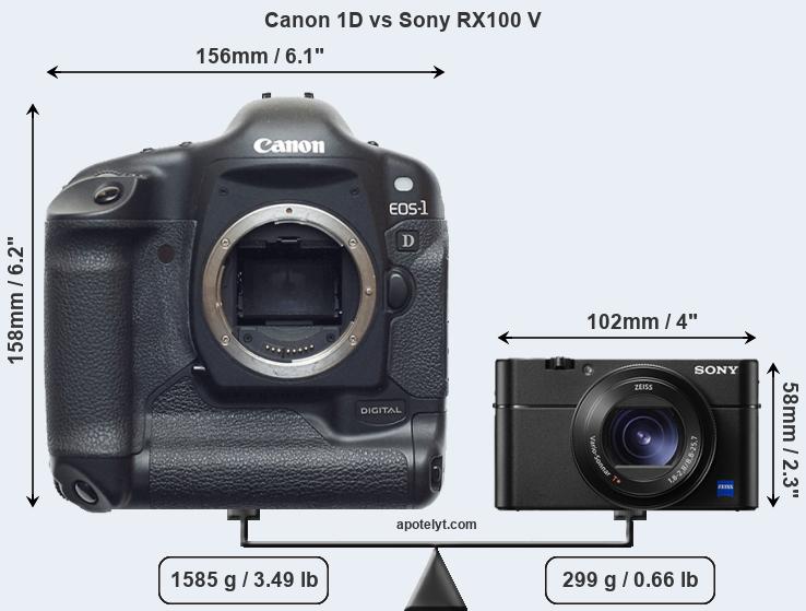 Size Canon 1D vs Sony RX100 V