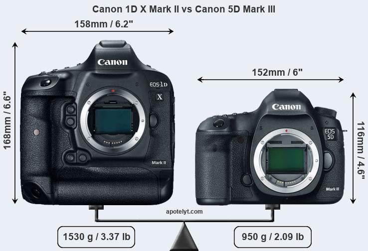 Size Canon 1D X Mark II vs Canon 5D Mark III