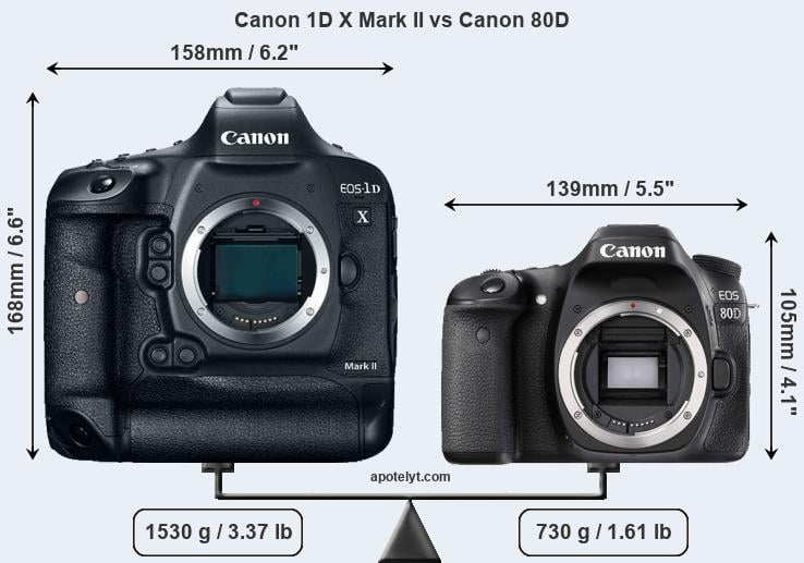 Size Canon 1D X Mark II vs Canon 80D