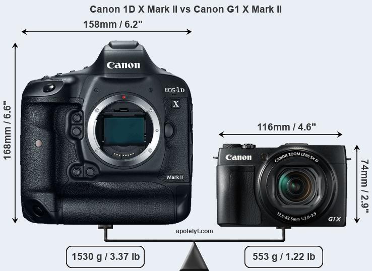 Size Canon 1D X Mark II vs Canon G1 X Mark II