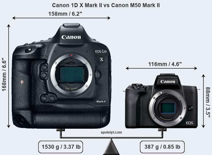 Size Canon 1D X Mark II vs Canon M50 Mark II