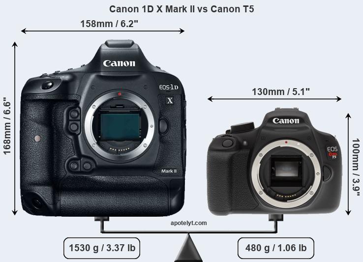 Size Canon 1D X Mark II vs Canon T5