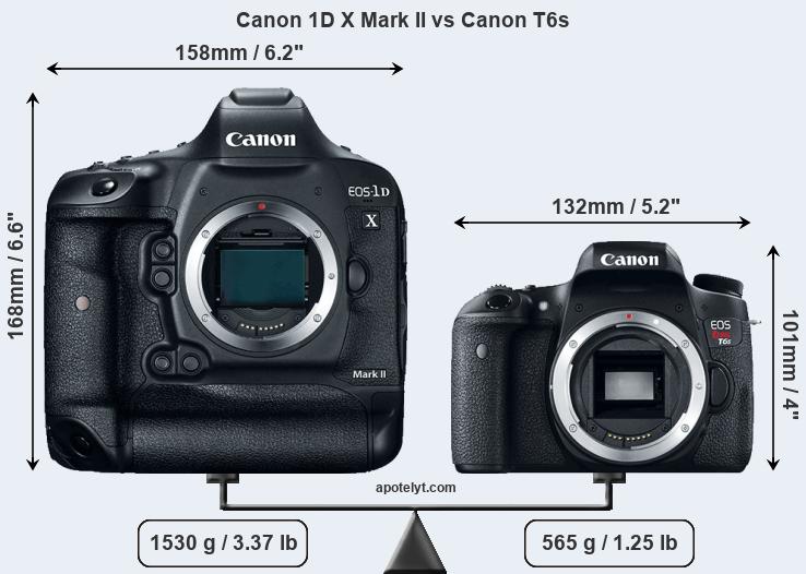 Size Canon 1D X Mark II vs Canon T6s
