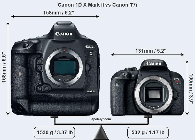 Size Canon 1D X Mark II vs Canon T7i