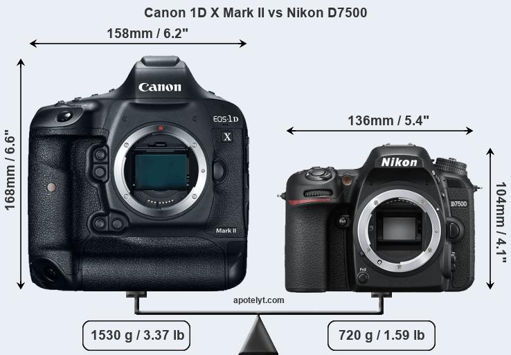 Size Canon 1D X Mark II vs Nikon D7500