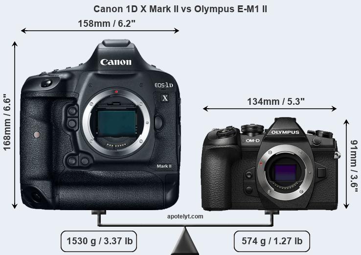 Size Canon 1D X Mark II vs Olympus E-M1 II