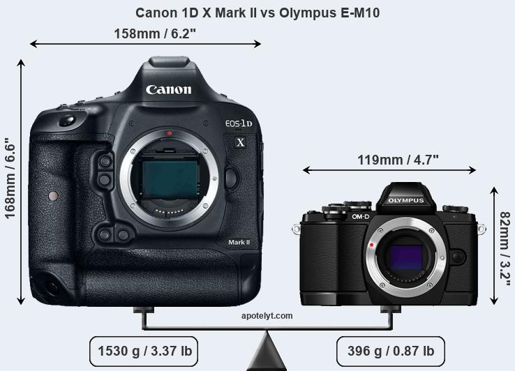 Size Canon 1D X Mark II vs Olympus E-M10