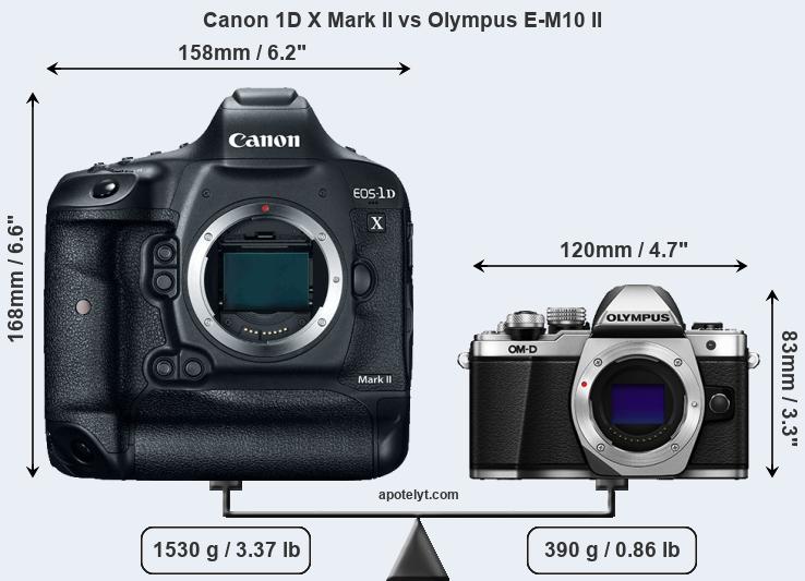 Size Canon 1D X Mark II vs Olympus E-M10 II