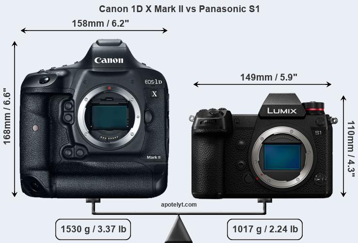Size Canon 1D X Mark II vs Panasonic S1