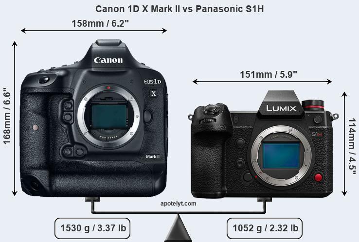 Size Canon 1D X Mark II vs Panasonic S1H