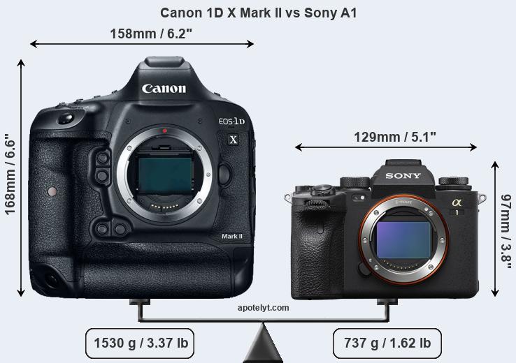 Size Canon 1D X Mark II vs Sony A1