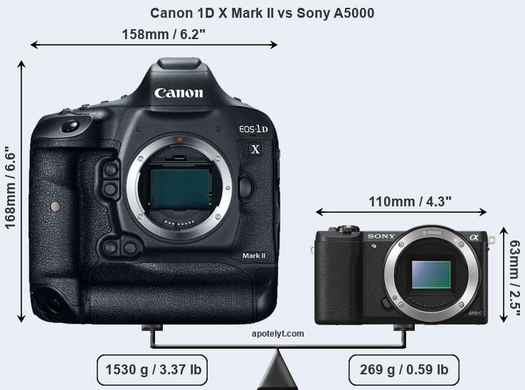 Size Canon 1D X Mark II vs Sony A5000