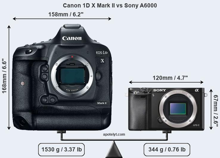 Size Canon 1D X Mark II vs Sony A6000