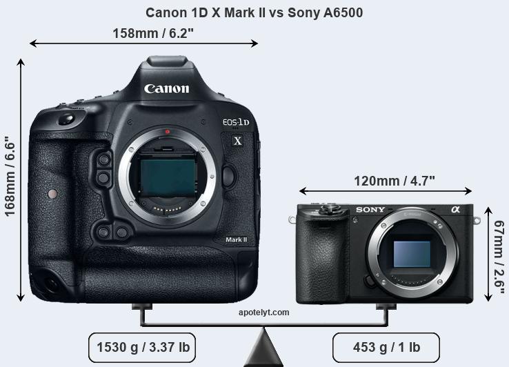 Size Canon 1D X Mark II vs Sony A6500