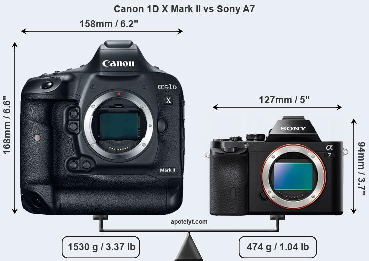 Size Canon 1D X Mark II vs Sony A7