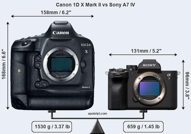Size Canon 1D X Mark II vs Sony A7 IV