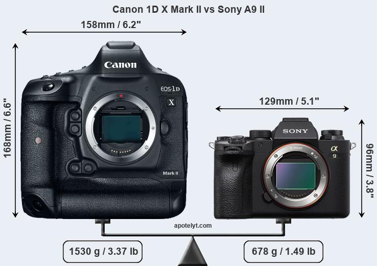 Size Canon 1D X Mark II vs Sony A9 II