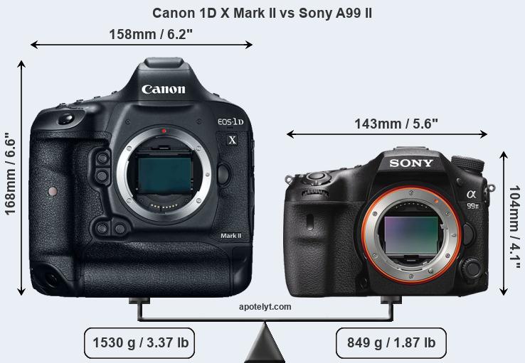 Size Canon 1D X Mark II vs Sony A99 II