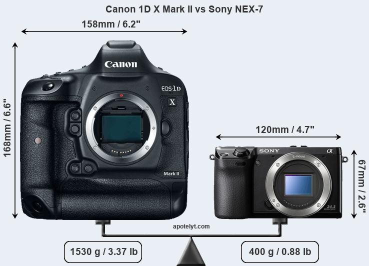 Size Canon 1D X Mark II vs Sony NEX-7