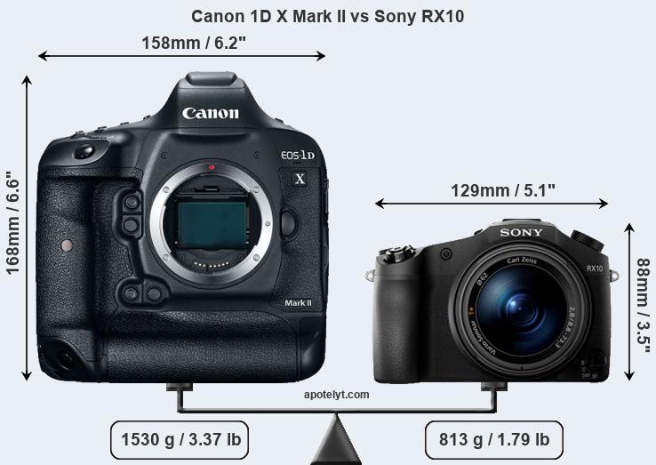 Size Canon 1D X Mark II vs Sony RX10