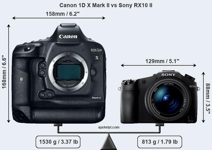 Size Canon 1D X Mark II vs Sony RX10 II