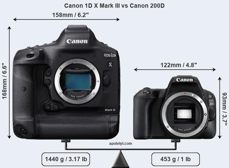 Size Canon 1D X Mark III vs Canon 200D