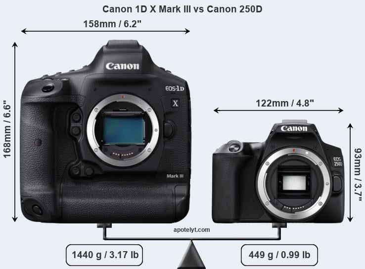 Size Canon 1D X Mark III vs Canon 250D