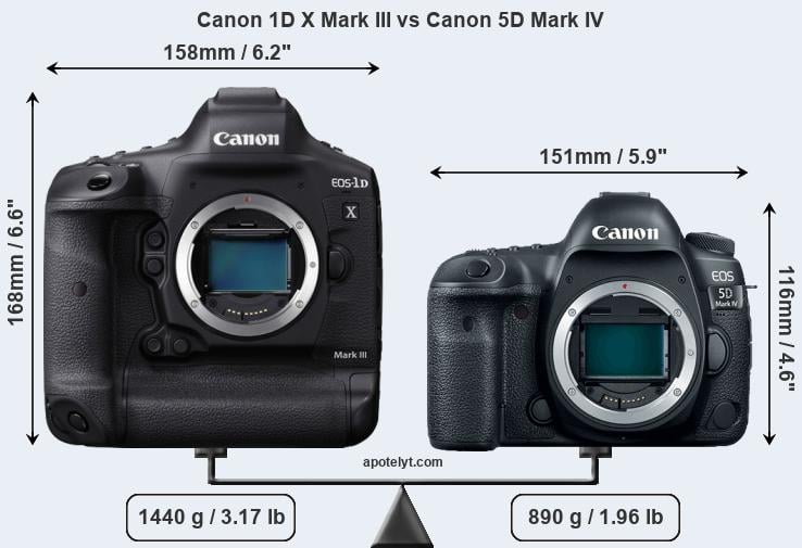 Size Canon 1D X Mark III vs Canon 5D Mark IV