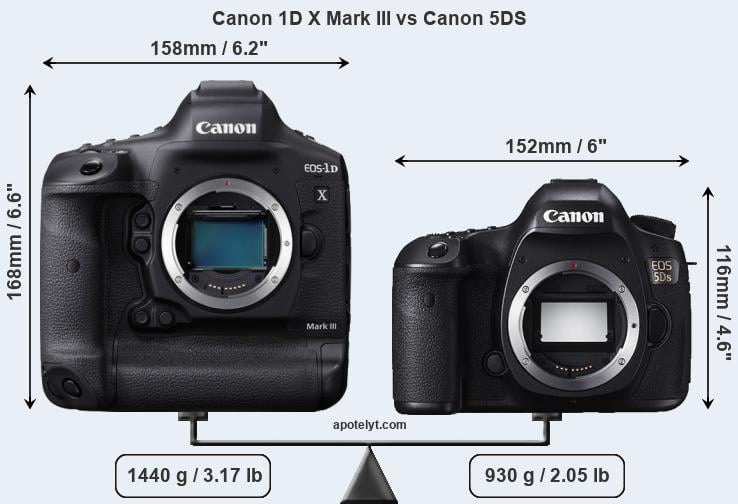 Size Canon 1D X Mark III vs Canon 5DS