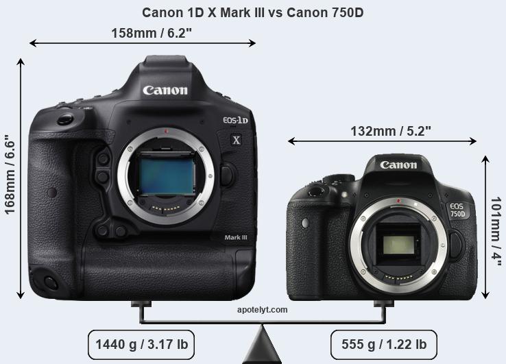 Size Canon 1D X Mark III vs Canon 750D