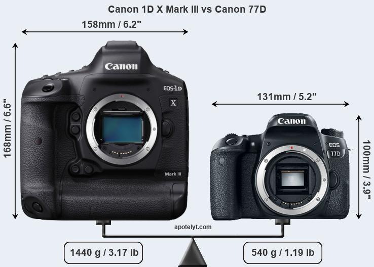Size Canon 1D X Mark III vs Canon 77D